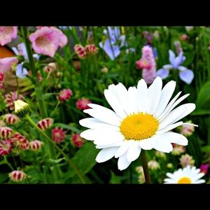 Meet your Posher, Glory